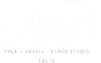 Pole and Aerial Studio POLISH