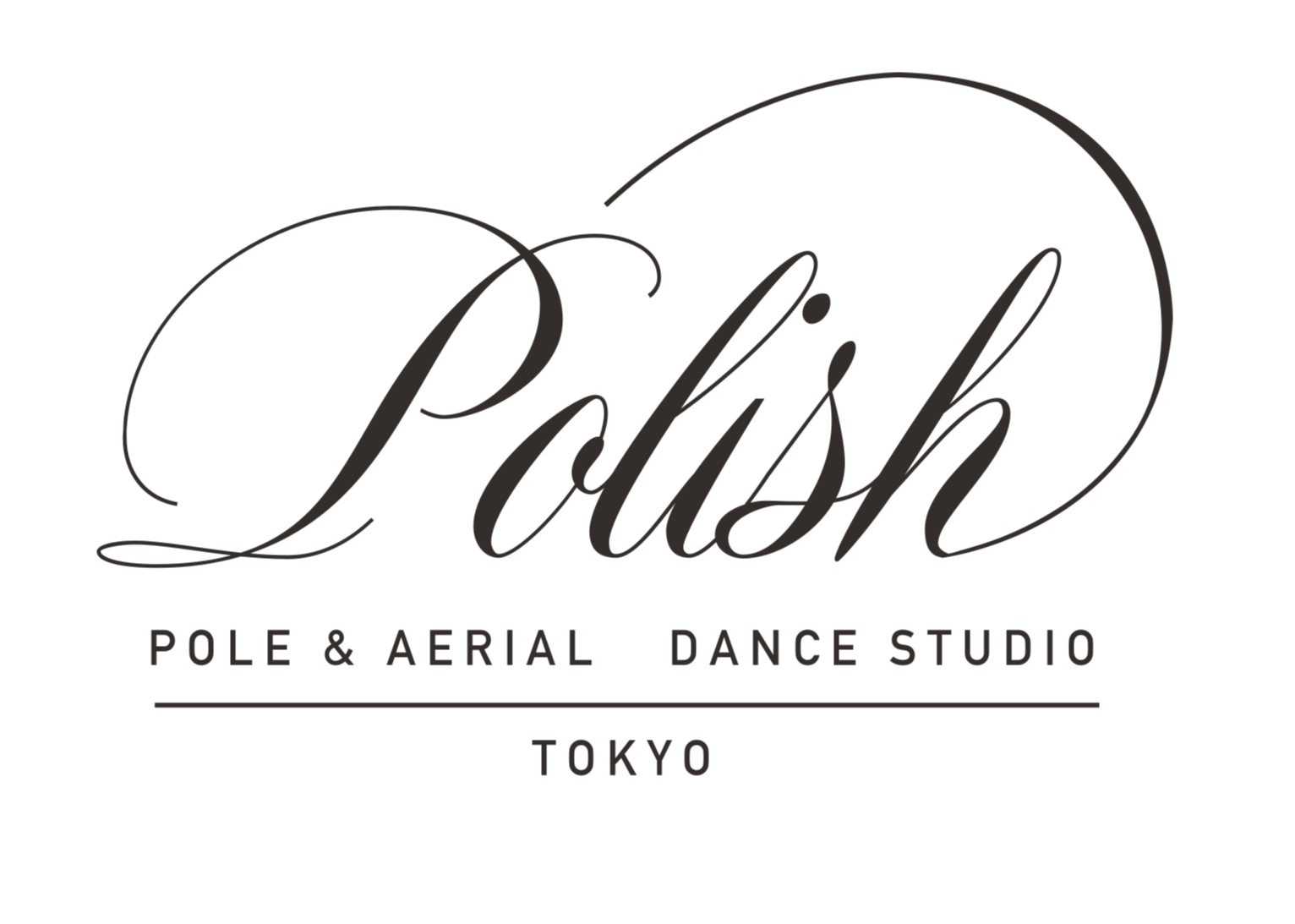 Pole and Aerial Studio POLISH